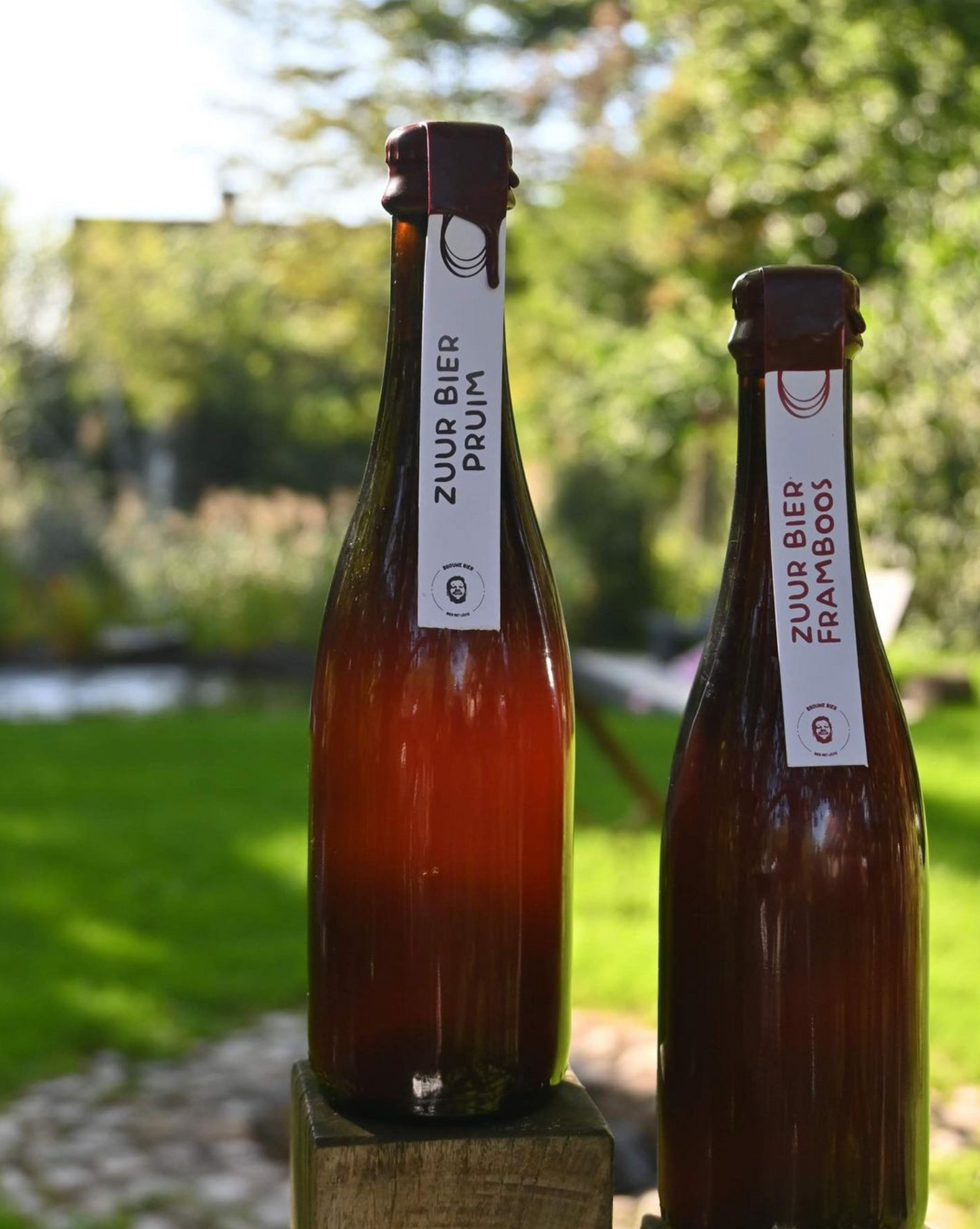 Zuur Bier Pruim
